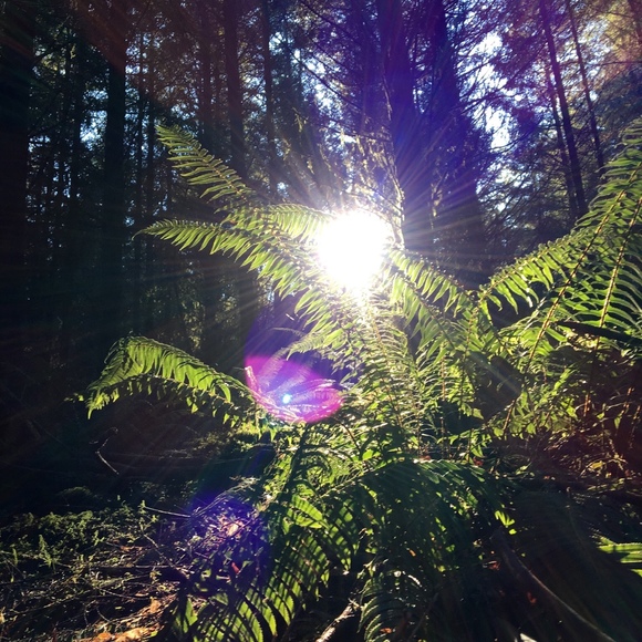 Meet your Posher, Chelsea j - Picture 1 of 1